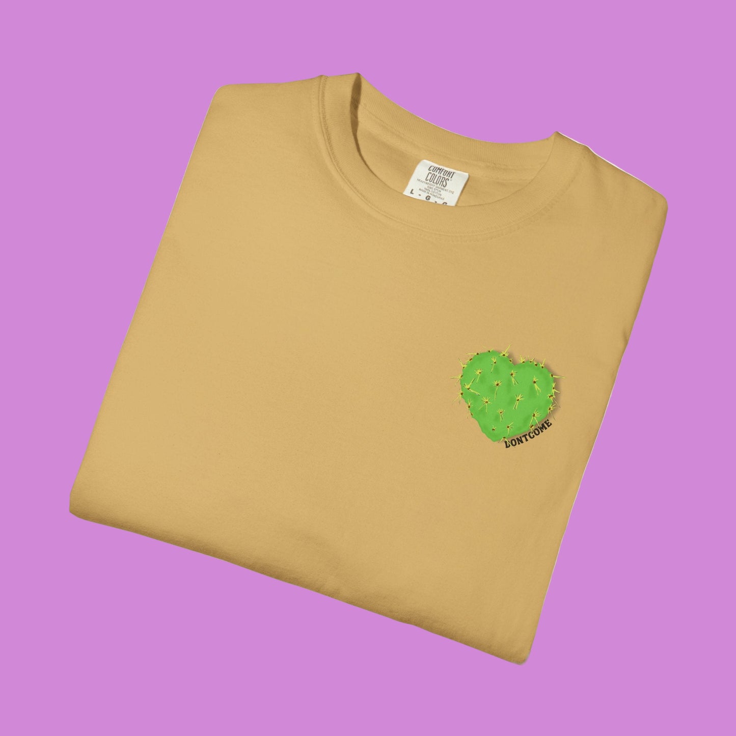 ARIZONA IS FOR LOVERS TEE