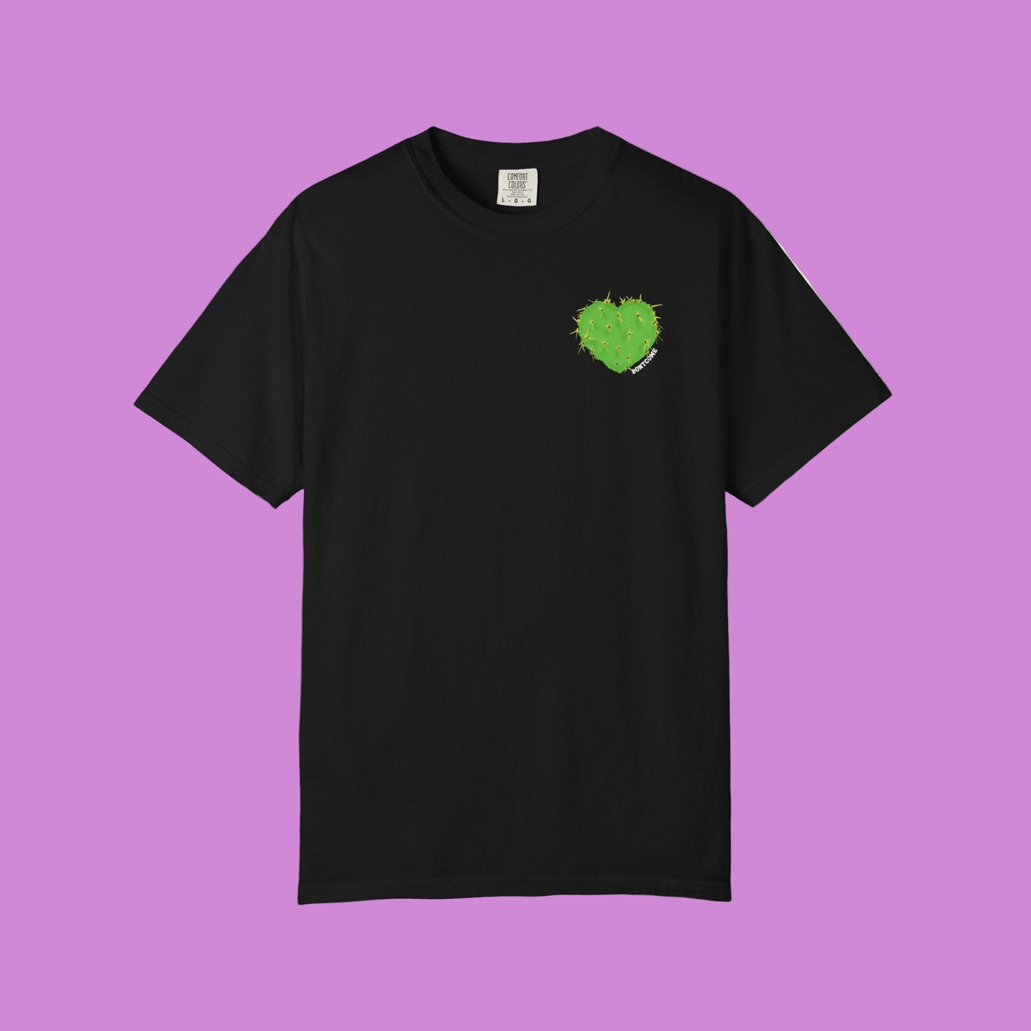ARIZONA IS FOR LOVERS TEE