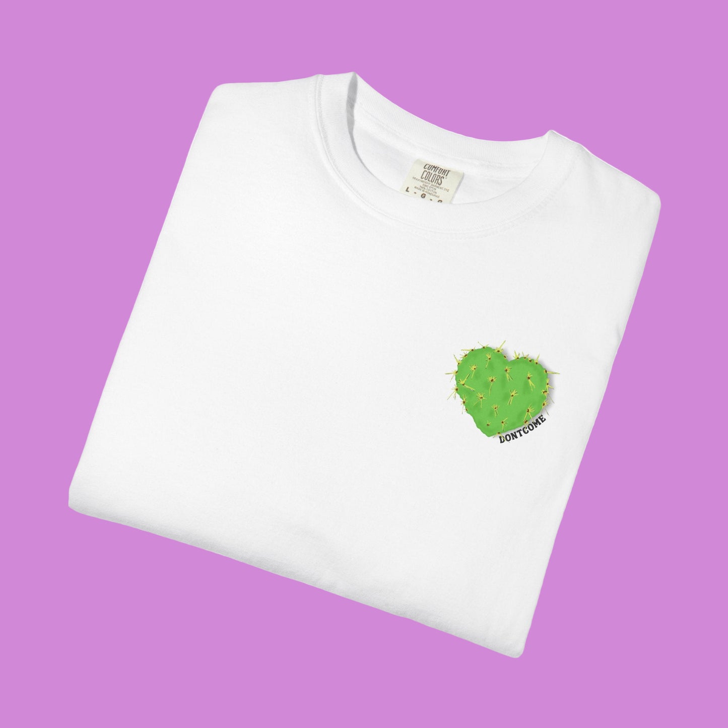 ARIZONA IS FOR LOVERS TEE